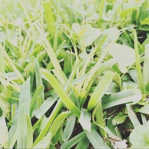 Meet your Posher, Estefany